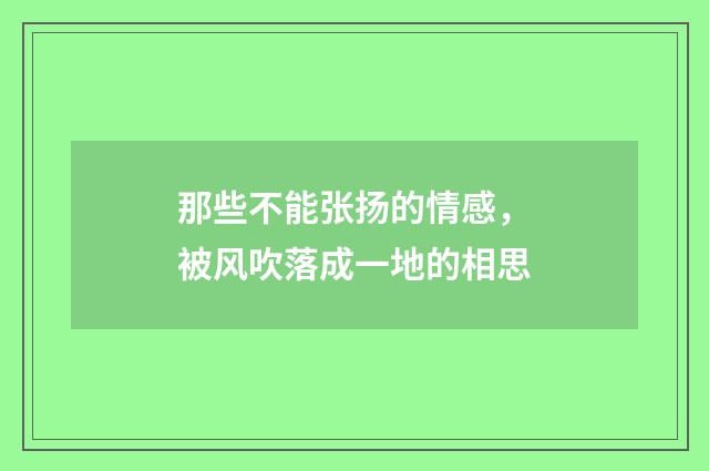 那些不能张扬的情感，被风吹落成一地的相思