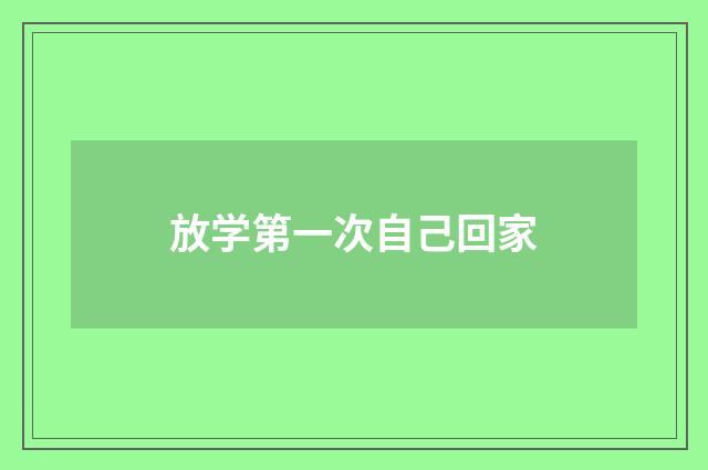 放学第一次自己回家
