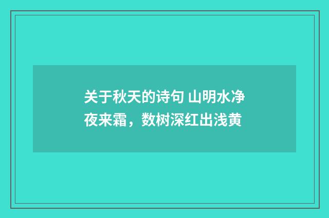 关于秋天的诗句 山明水净夜来霜，数树深红出浅黄