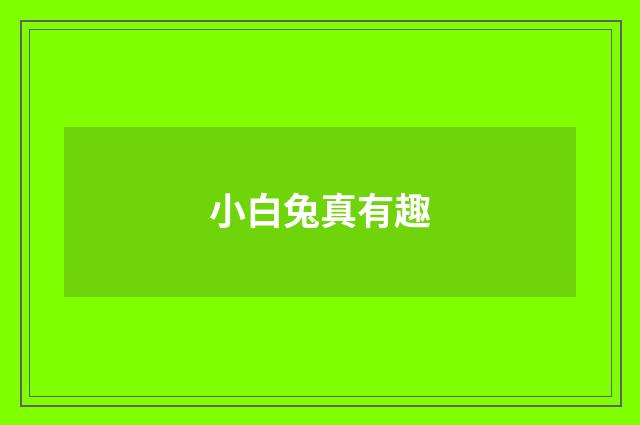 小白兔真有趣