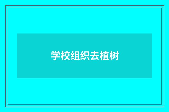 学校组织去植树