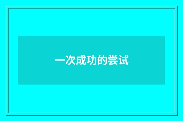 一次成功的尝试