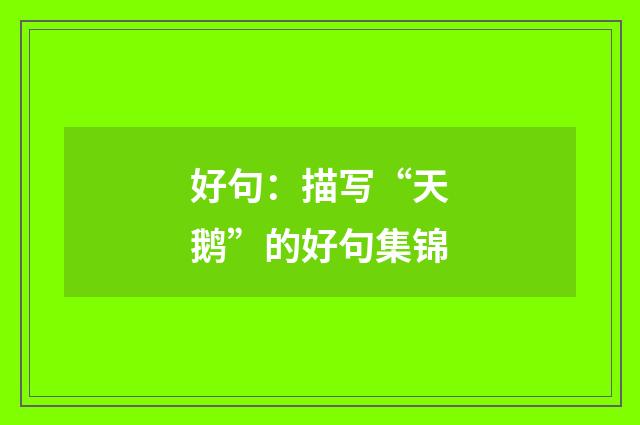 好句：描写“天鹅”的好句集锦