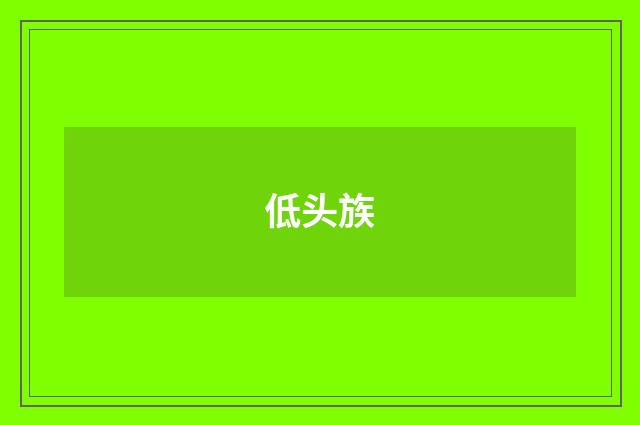 低头族