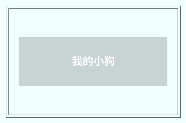 我的小狗