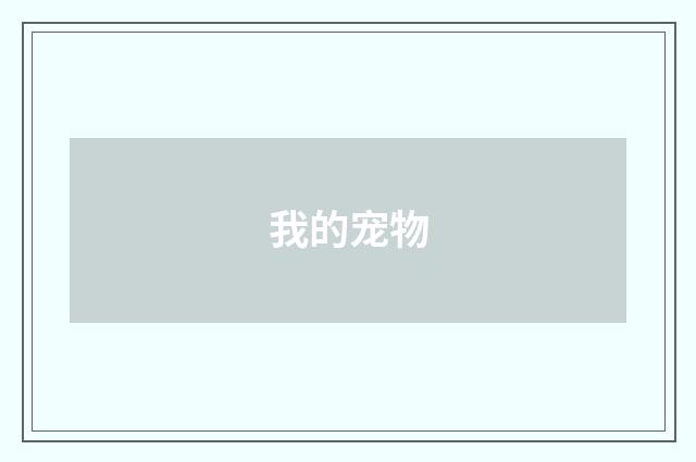 我的宠物