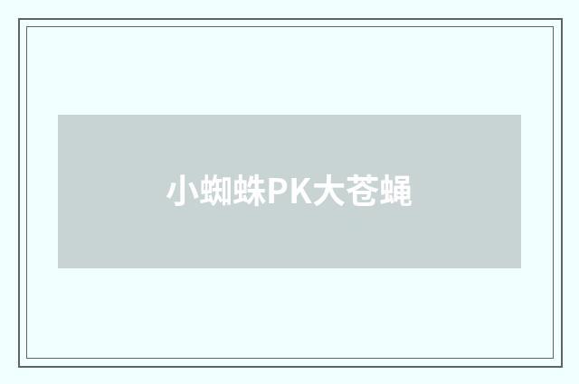 小蜘蛛PK大苍蝇