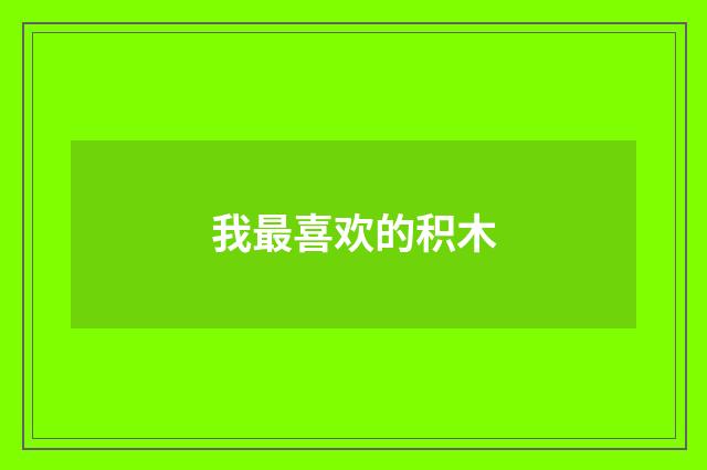 我最喜欢的积木