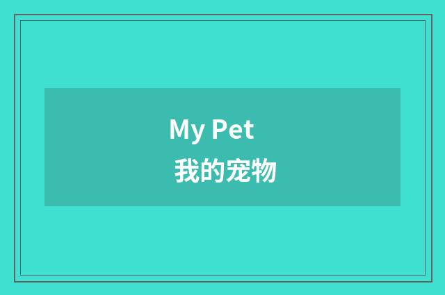 My Pet 我的宠物