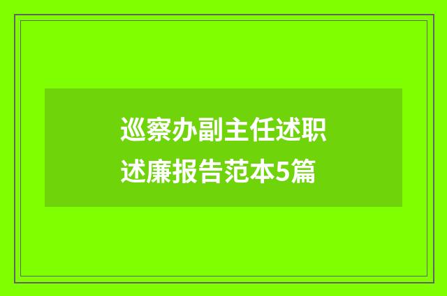 巡察办副主任述职述廉报告范本5篇