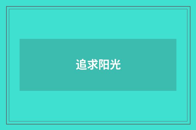 追求阳光