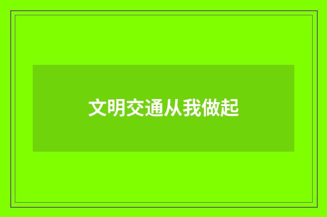 文明交通从我做起