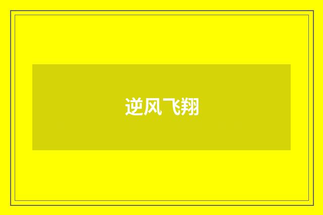 逆风飞翔