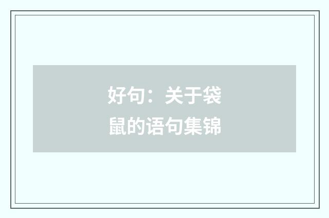 好句:关于袋鼠的语句集锦