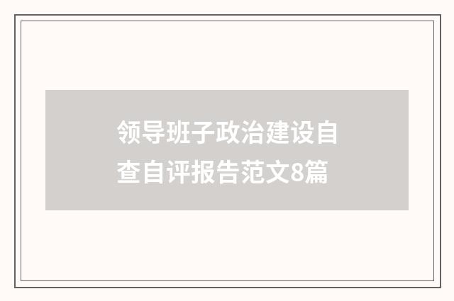 领导班子政治建设自查自评报告范文8篇