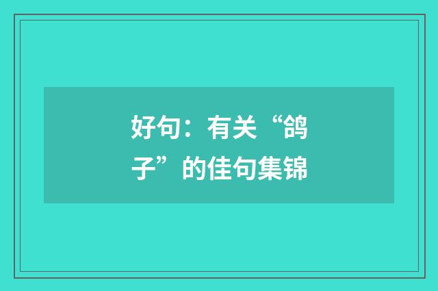 好句：有关“鸽子”的佳句集锦