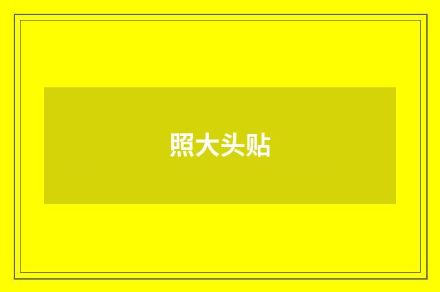 照大头贴
