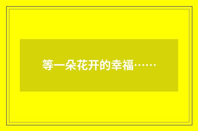 等一朵花开的幸福……