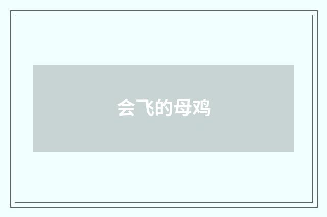 会飞的母鸡
