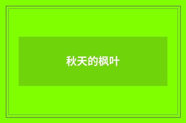 秋天的枫叶