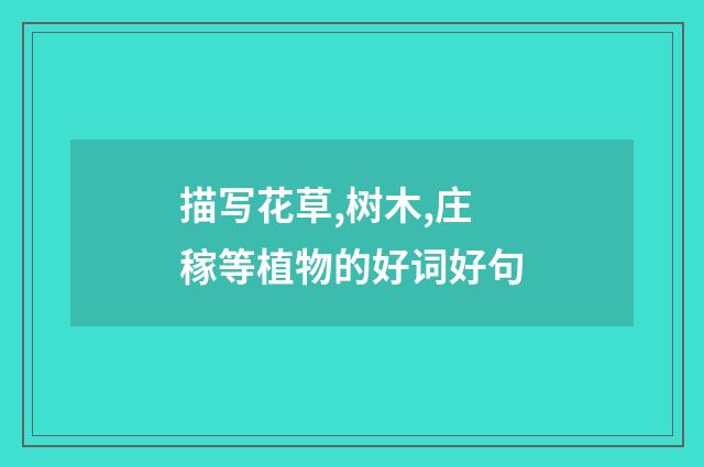 描写花草,树木,庄稼等植物的好词好句