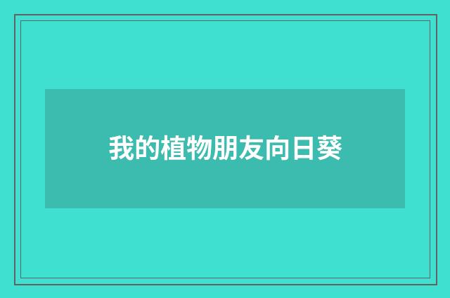 我的植物朋友向日葵