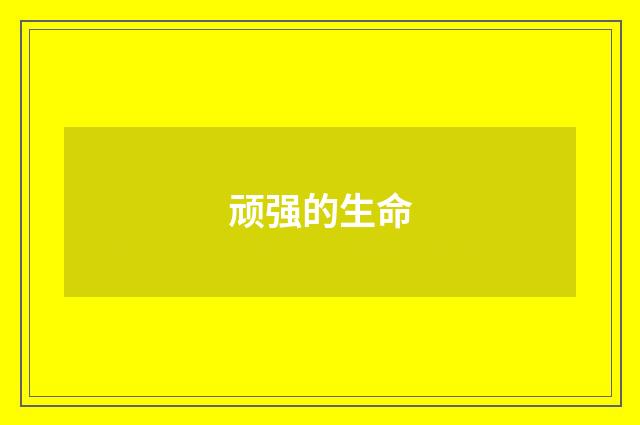 顽强的生命
