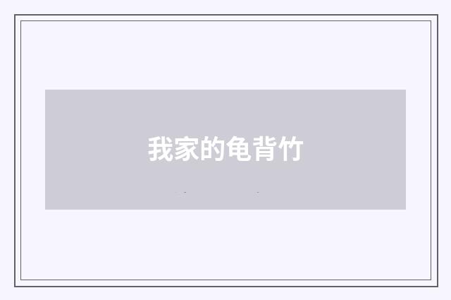 我家的龟背竹