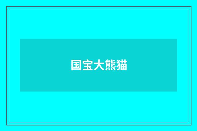 国宝大熊猫
