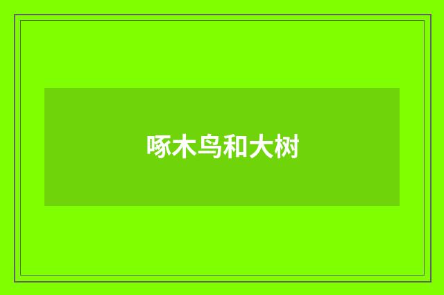 啄木鸟和大树