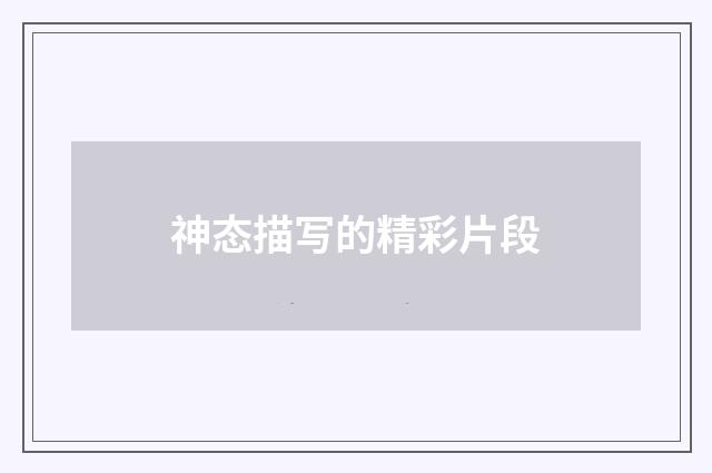 神态描写的精彩片段