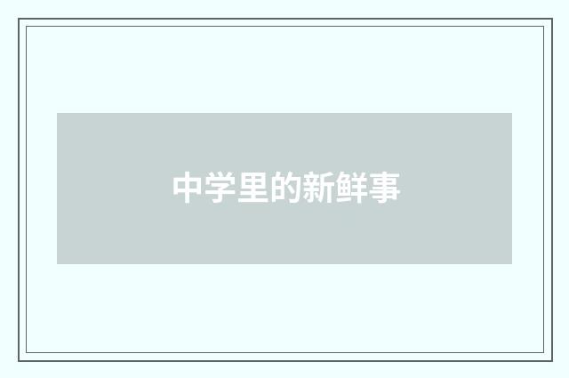 中学里的新鲜事