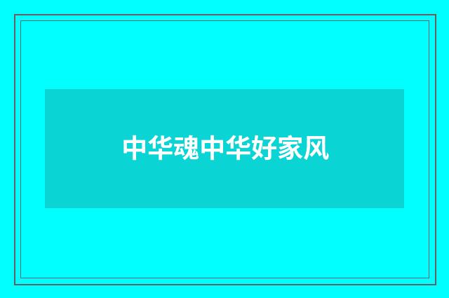 中华魂中华好家风