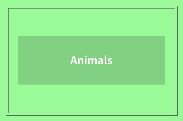 Animals