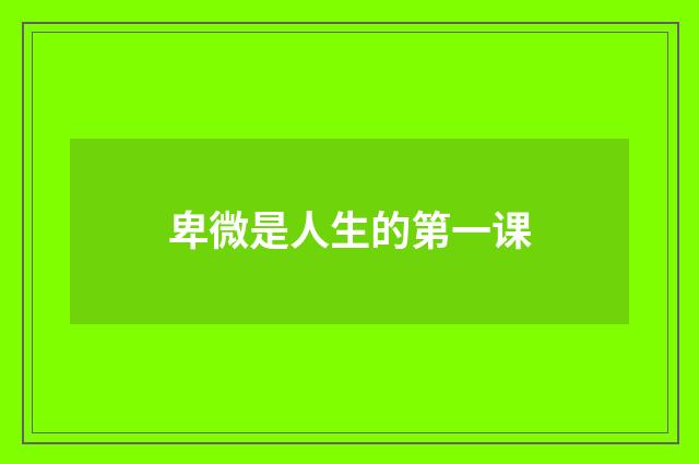 卑微是人生的第一课