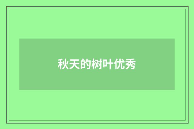 秋天的树叶优秀