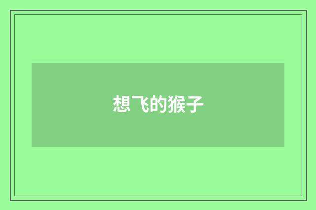 想飞的猴子