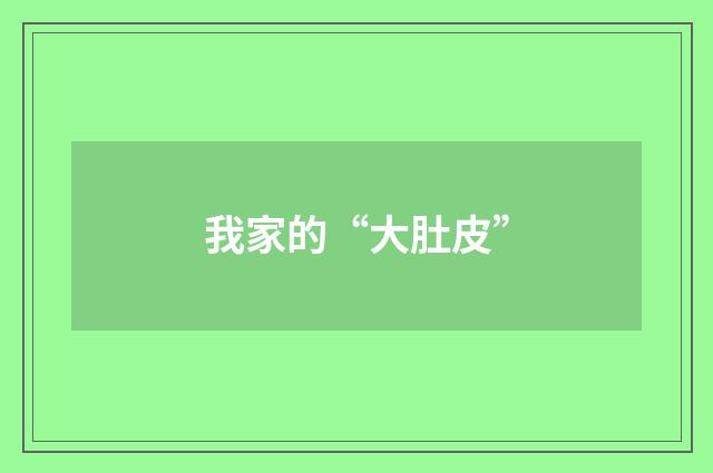 我家的“大肚皮”