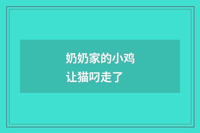 奶奶家的小鸡让猫叼走了