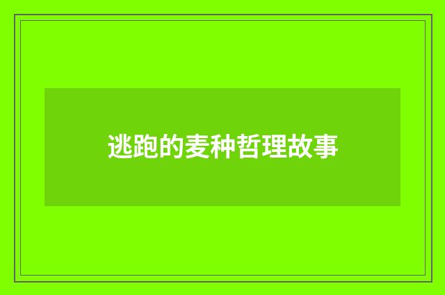 逃跑的麦种哲理故事