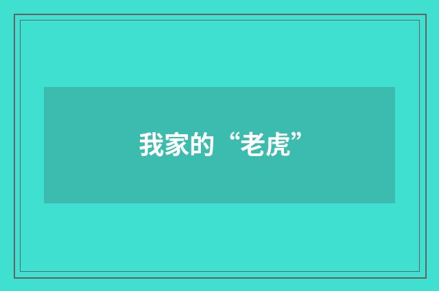 我家的“老虎”