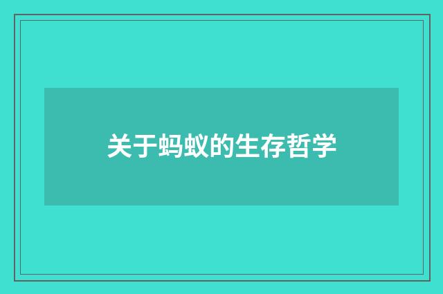 关于蚂蚁的生存哲学