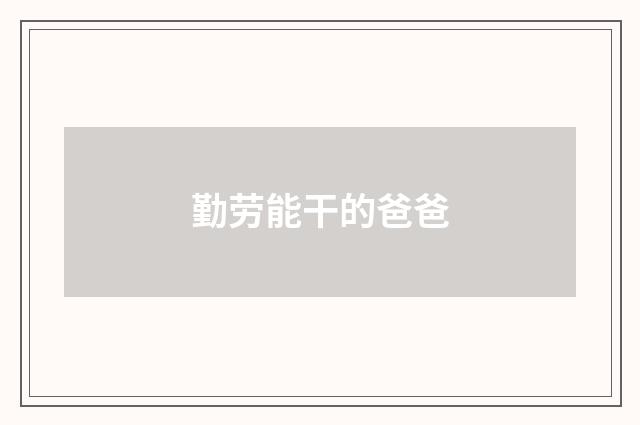 勤劳能干的爸爸
