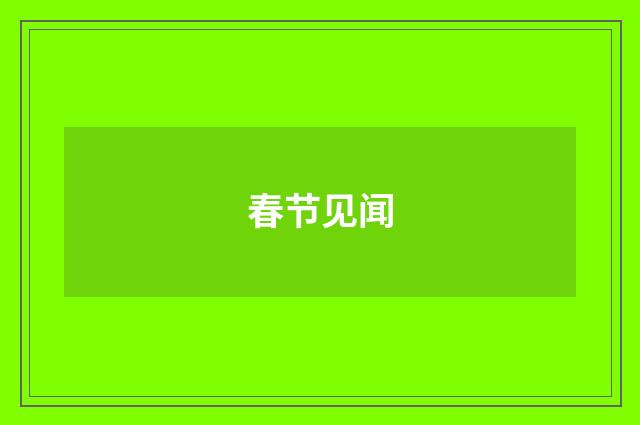 春节见闻