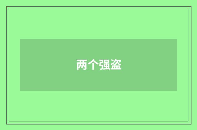 两个强盗