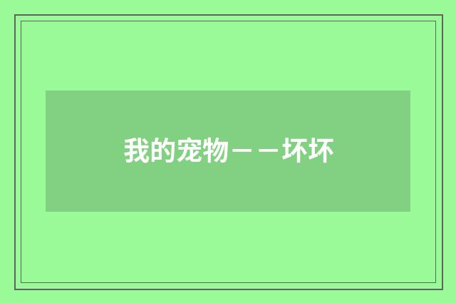 我的宠物－－坏坏