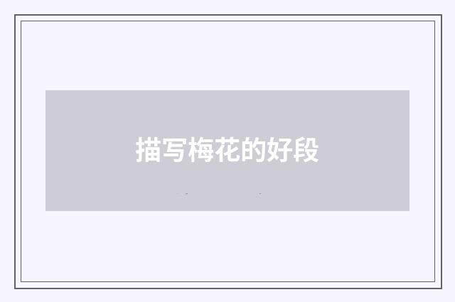 描写梅花的好段