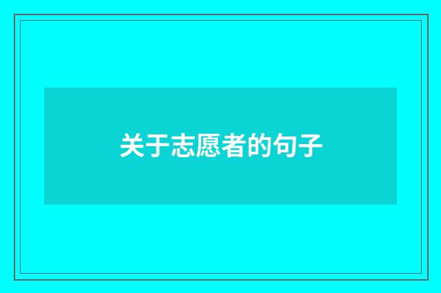 关于志愿者的句子
