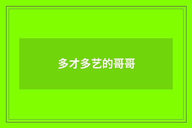 多才多艺的哥哥