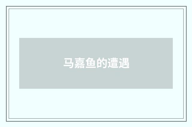 马嘉鱼的遭遇